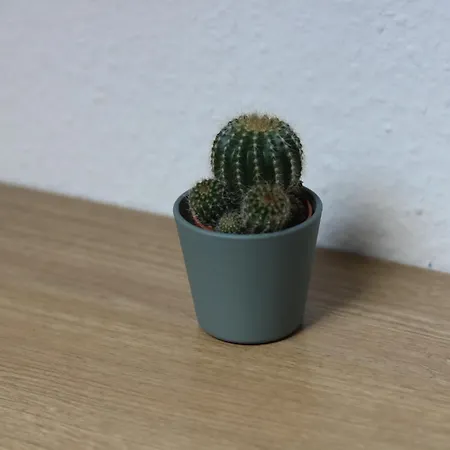Apartment Friesen *