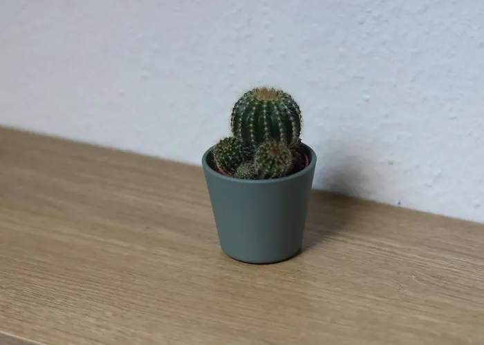 Appartement Friesen *